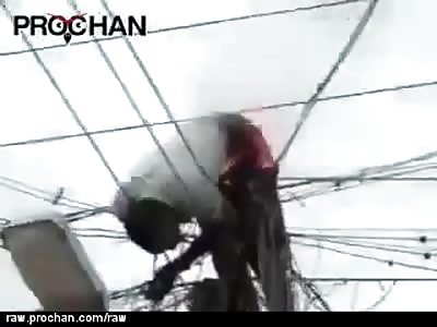  Selfish git takes out power lines