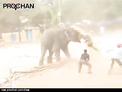 Well Done Elephant